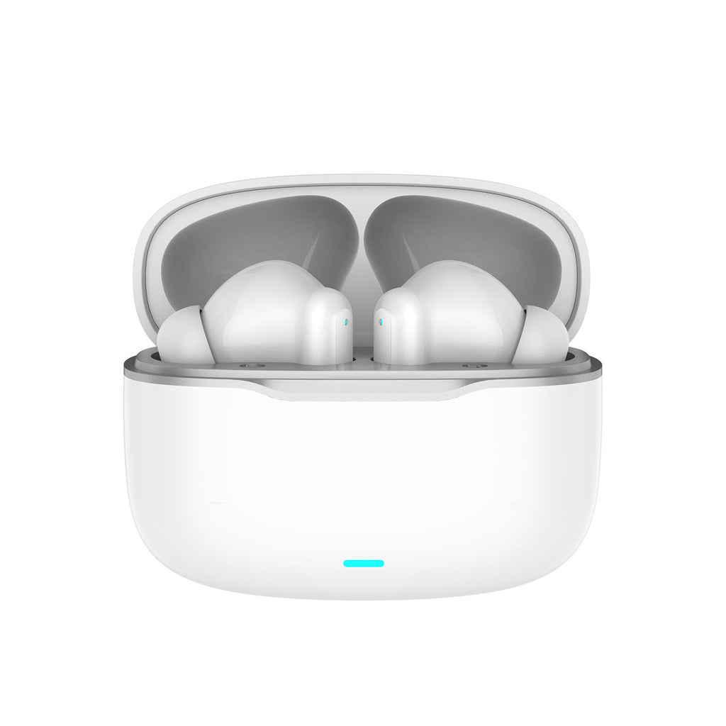 Dual ANC ENC In Ear TWS Earbuds with Charging Case Deep Bass & Extended Playback Life